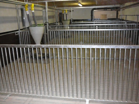 Schweinestall