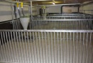 Schweinestall
