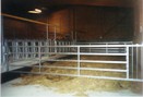 Boxenlaufstall f�r Ammenk�he - schwenkbare Trennw�nde mit K�lberschlupf - Oesdorf Hof von R�den