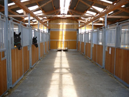 Nach vorne offene Pferdeboxen mit T�ren aus RP-Rohr und schwenkbaren Trennw�nden
